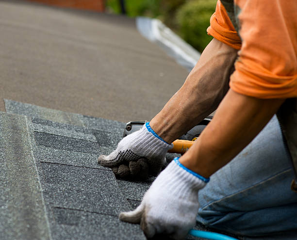 Best Roof Gutter Cleaning  in Murray, UT